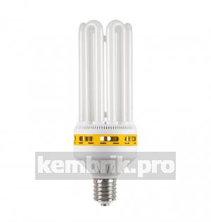 Лампа энергосберегающая КЛЛ 105/865 Е40 D105х320 6U